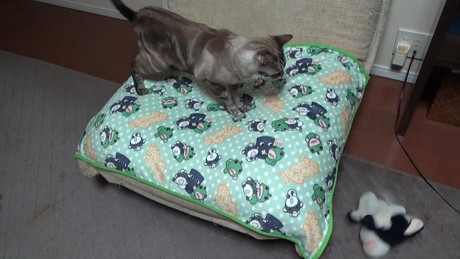 倒れ込むうしくん