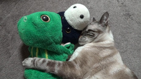 かりんくんとうしくん