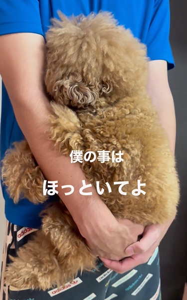 お兄ちゃんの抱っこがいいワンコ