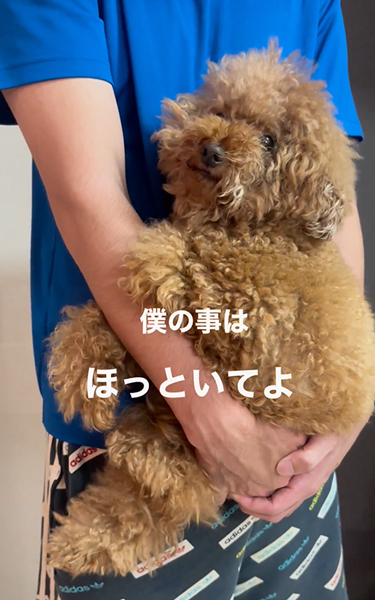 不満げなワンコ