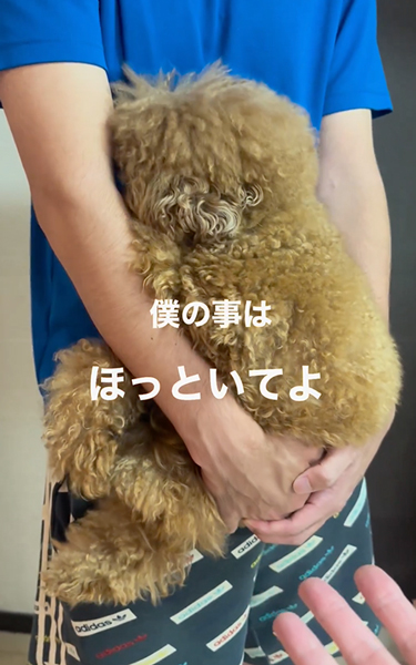 お兄ちゃんの抱っこがいいワンコ