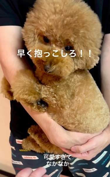 はやく抱っこして