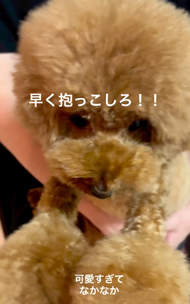 前足のばす犬