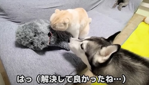 猫が助けを呼びに来た