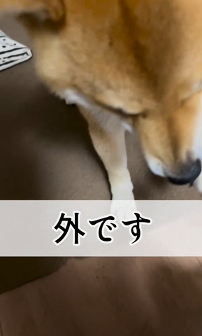 外ですテロップ