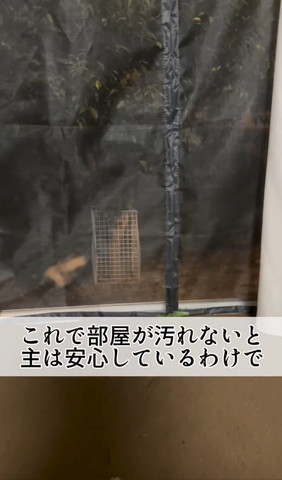 これで部屋が汚れないと主は安心テロップ
