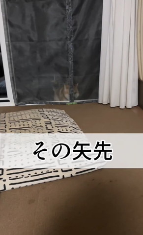 その矢先テロップ