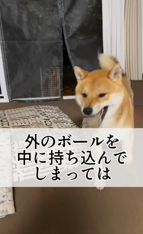 外のボールを中に持ち込んでしまってはテロップ