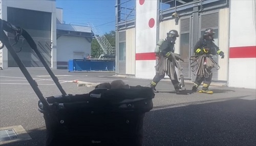 消防車が通るたびにうわうわ鳴くワンコ