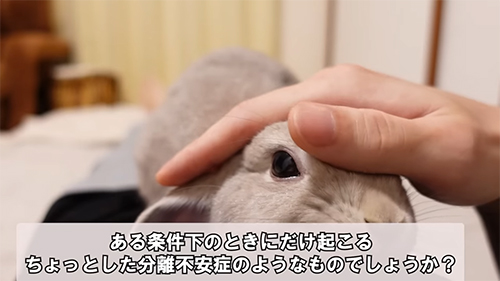 分離不安症のような