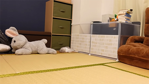 ごろ寝ぽぽちゃん遠くから