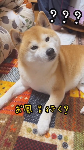 ケンシロウくん