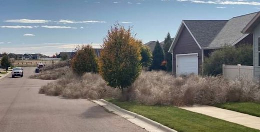 大量の枯れ草が民家を襲う！ 米モンタナ州でえげつない量の“西部