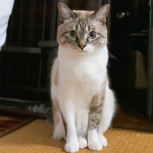立派に成長