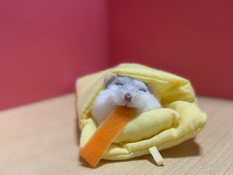 人参くわえたまま寝てるハム