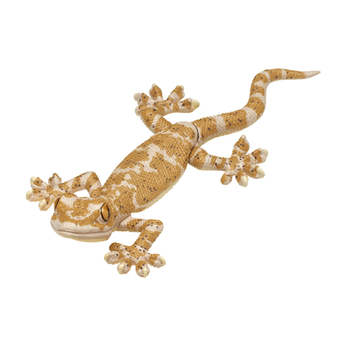 ニホンヤモリカプセルトイ02