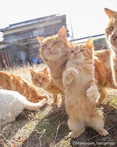 山本正義さんイベント