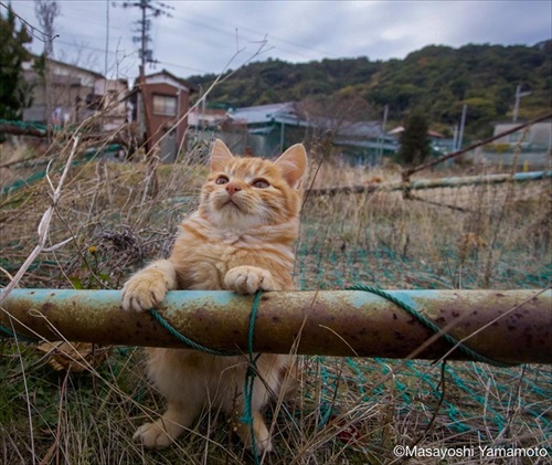 山本正義さんイベント