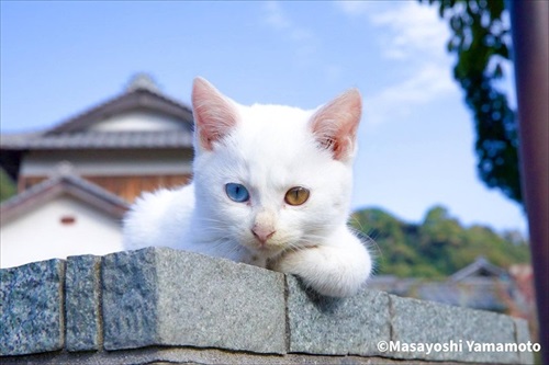 山本正義さんイベント