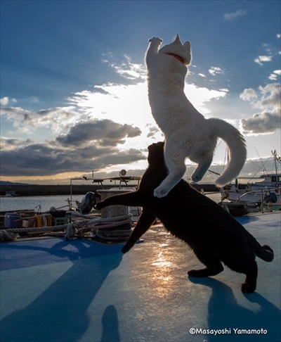 山本正義さんイベント