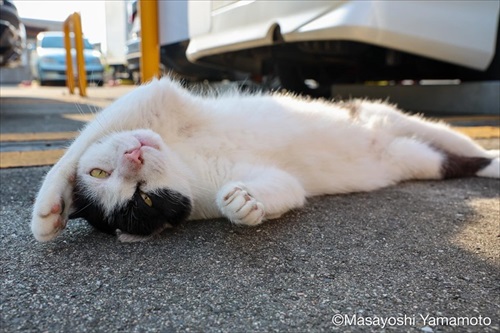 山本正義さんイベント
