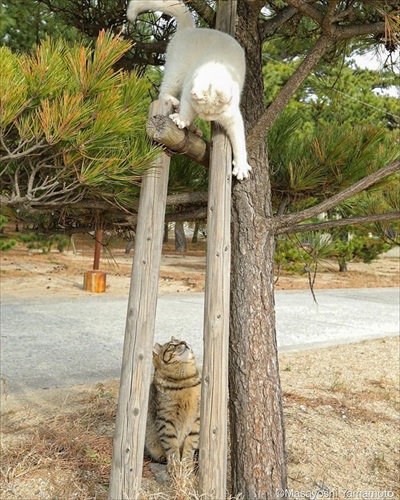 山本正義さんイベント