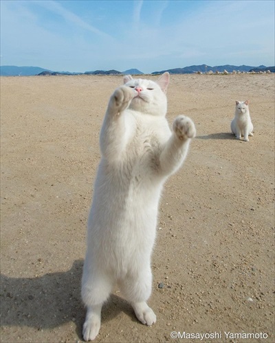 山本正義さんイベント