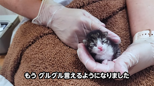 グルグルいえるように