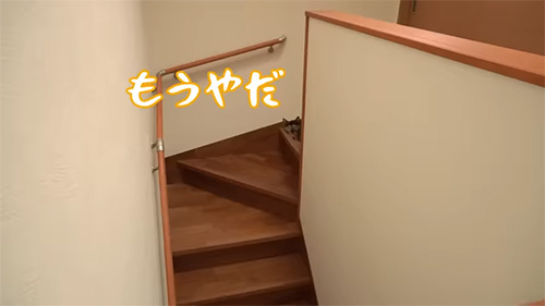 もうやだ