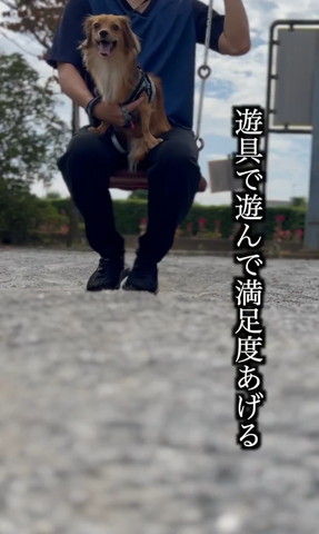 遊具で遊んで満足度あげるテロップ