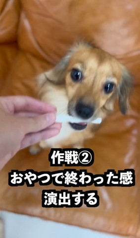 おやつで終わった感演出するテロップ