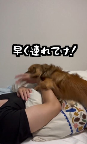 早く連れていけテロップ