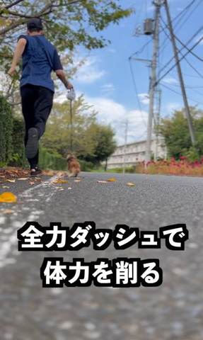 全力ダッシュで体力を削る