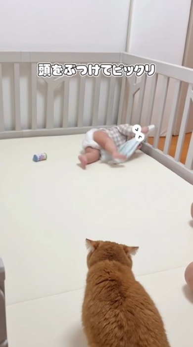 頭をぶつけた赤ちゃん