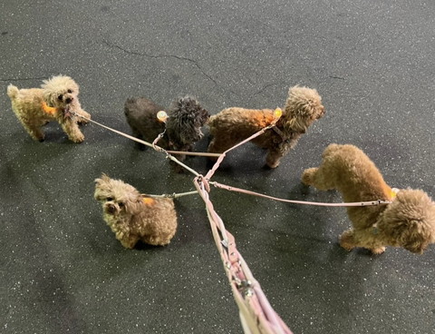 絡まるリードとカメラ目線ワンコ