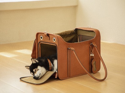 土屋鞄「ペットキャリーバッグ」使用例