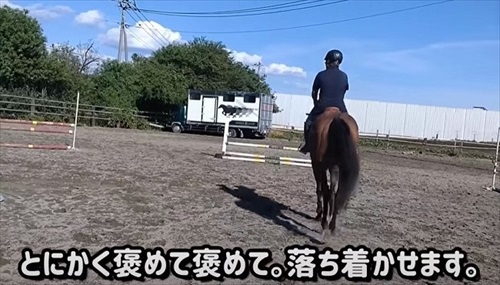 引退競走馬の訓練
