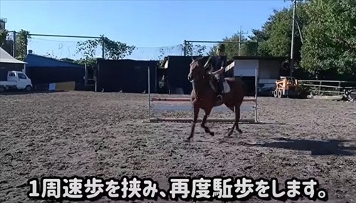 引退競走馬の訓練