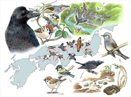 ナナフシが鳥に食べられることで長距離移動している説