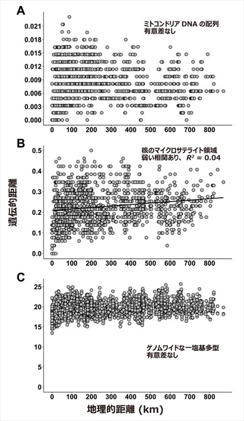 ナナフシが鳥に食べられることで長距離移動している説
