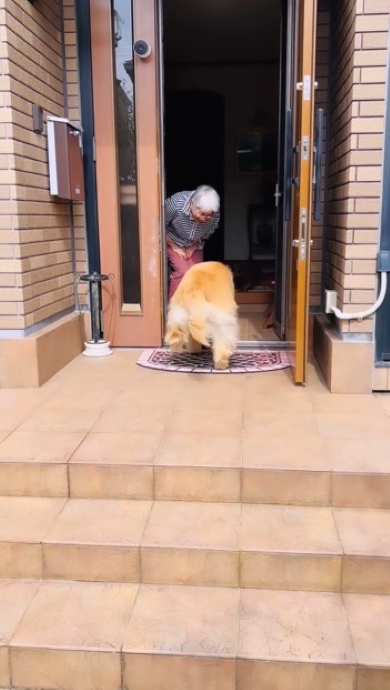 犬を歓迎するお母さん