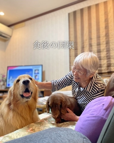 お母さんと犬