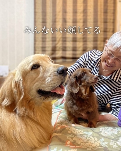 お母さんと犬