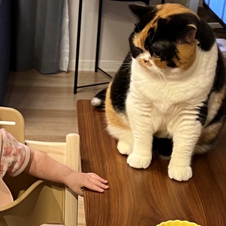 赤ちゃんを見守るおあげちゃん