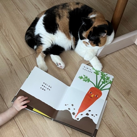 絵本を見る猫と赤ちゃん