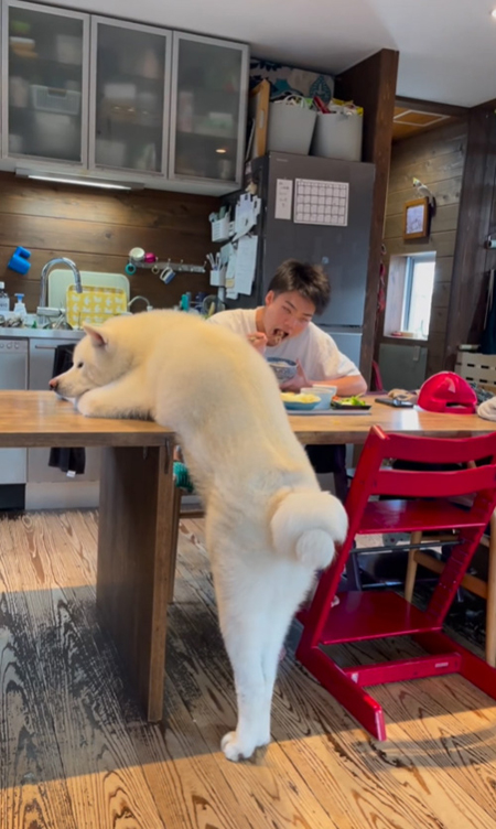 つっぷすこちろうくんの背中