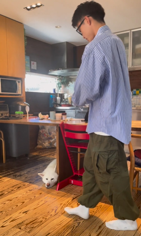 伏せるこちろうくん