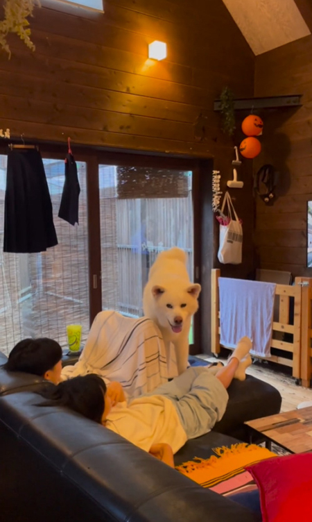 みんなでソファ