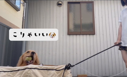 散歩を楽する方法