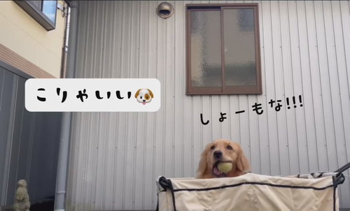 散歩を楽する方法